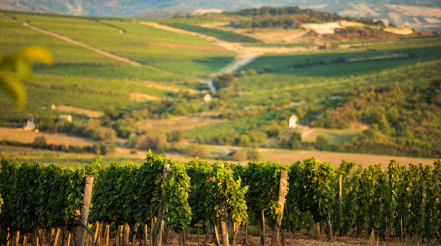 Tokaj, Northeastern Hungary, Hungary